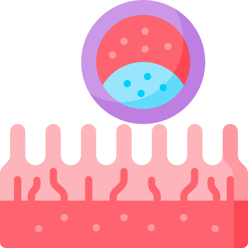 胚 Special Flat icon