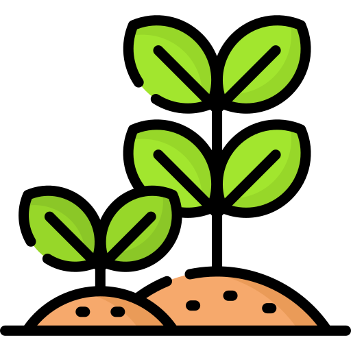 식물 Special Lineal color icon