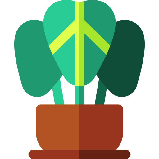 Philodendron Basic Rounded Flat icon