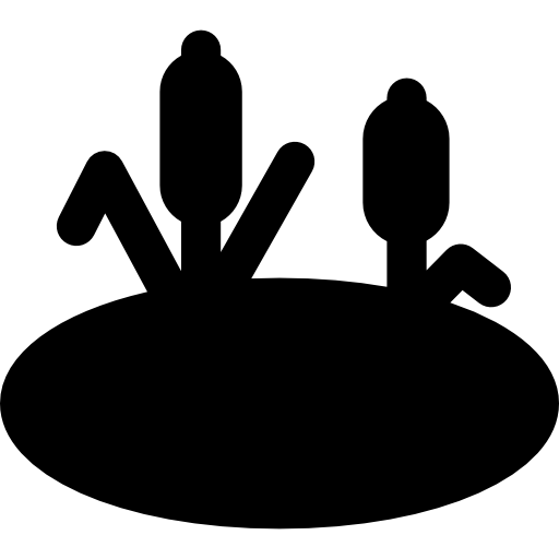 池  icon