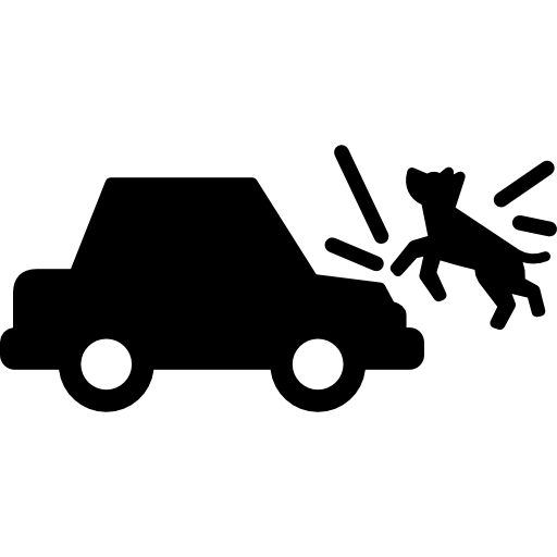 Car Run Over Dog  icon