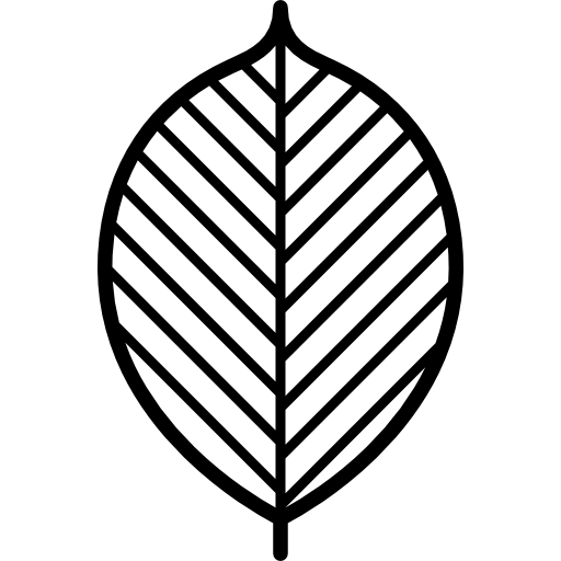 Leaf  icon