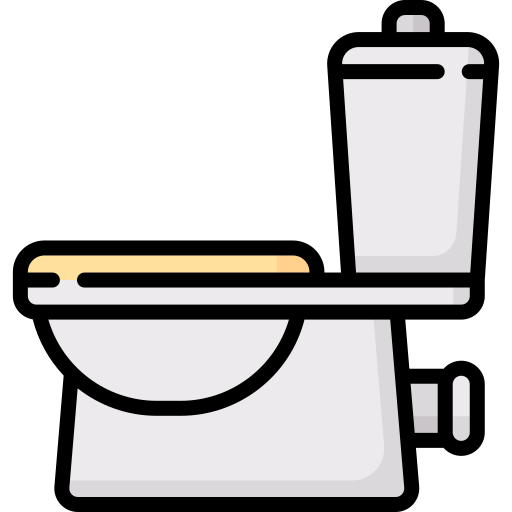 Toilet  Special Lineal color icon