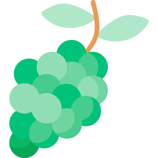 Grape Special Flat icon