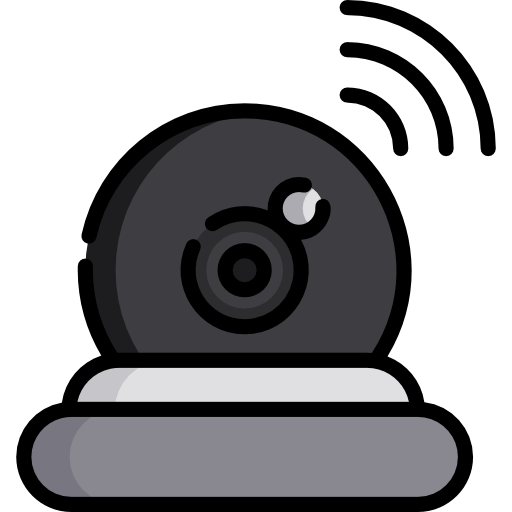Webcam Special Lineal color icon