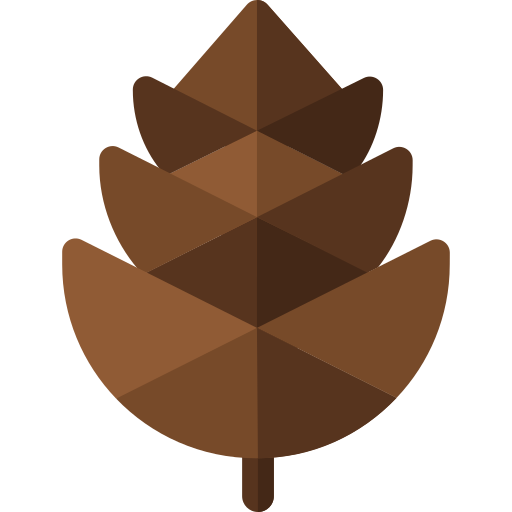 cono de pino Basic Rounded Flat icono