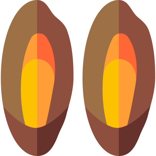 カキ Basic Rounded Flat icon
