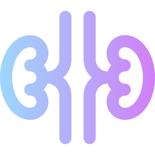 Kidneys Super Basic Rounded Gradient icon