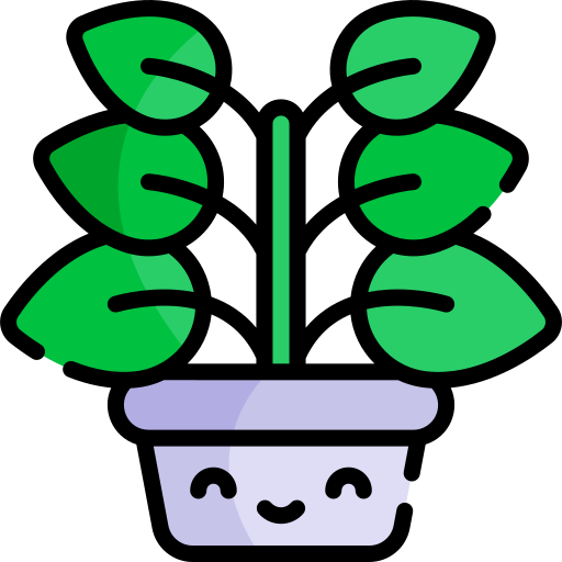 Ficus Kawaii Lineal color icon
