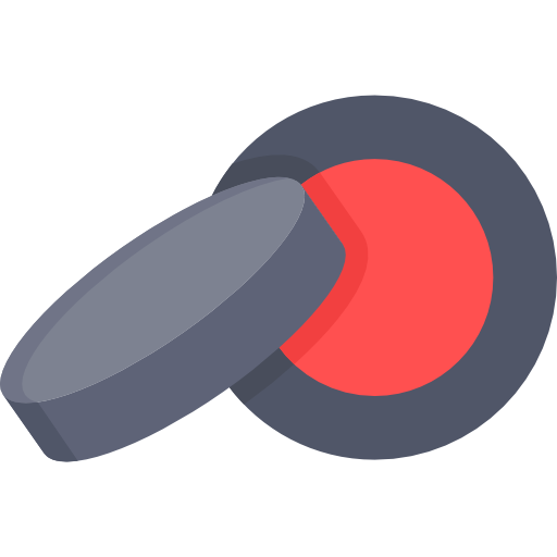 puck Special Flat icon