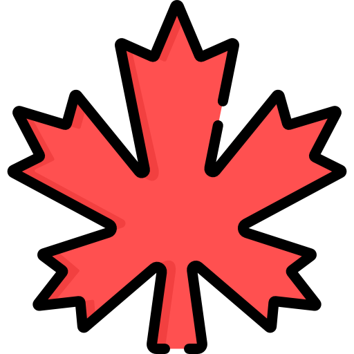 Maple leaf Special Lineal color icon