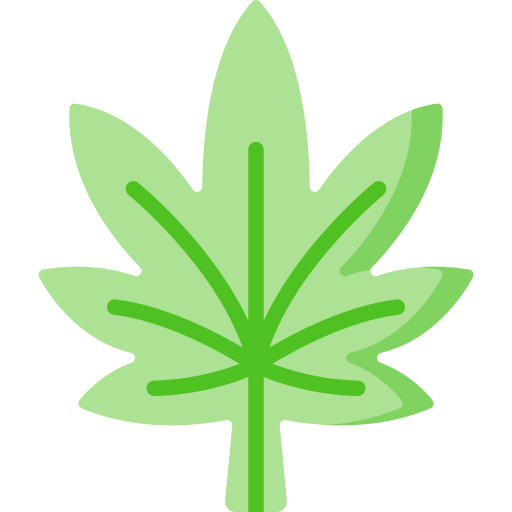 cannabis Special Flat icon