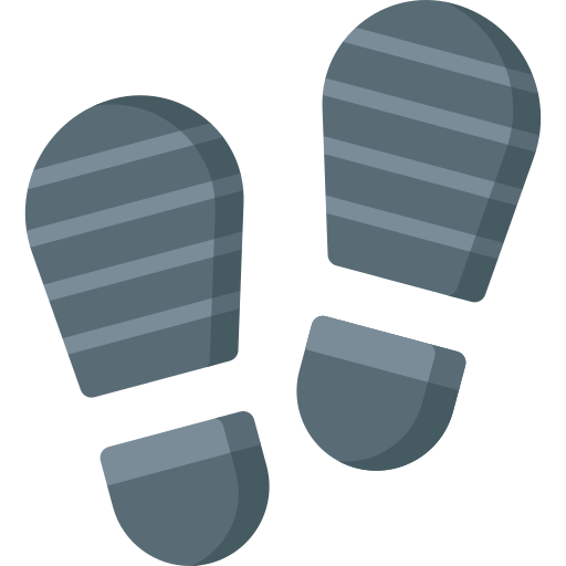 Footprint Special Flat icon