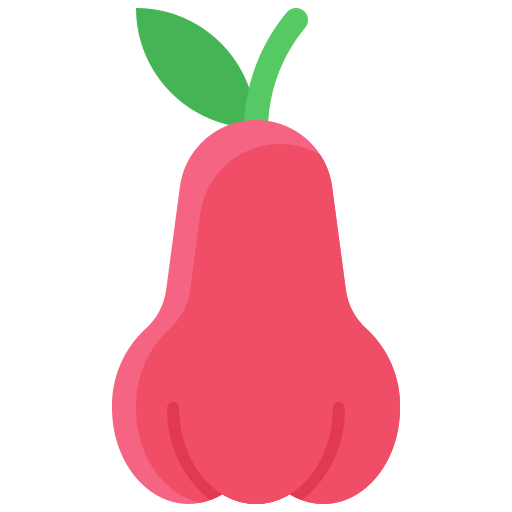 로즈 애플 Generic Flat icon