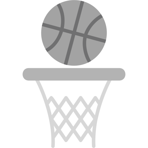 Basketball Generic Grey icon