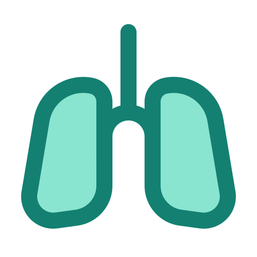 Lung Generic Outline Color icon