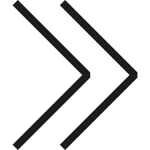 flecha doble Generic Basic Outline icono