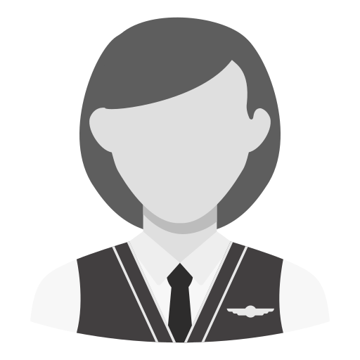 stewardess Generic Grey icoon