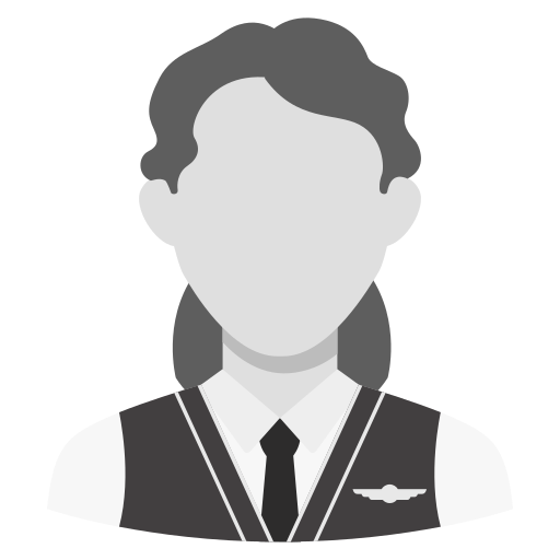stewardess Generic Grey icoon