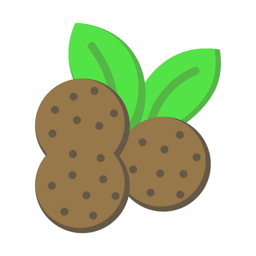 longan Generic Flat icon