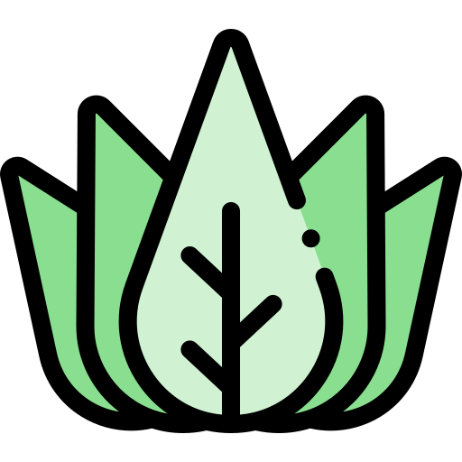 agave Detailed Rounded Lineal color icon