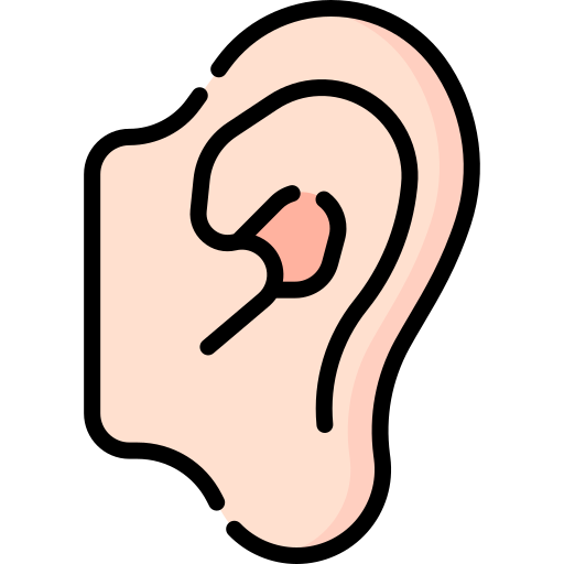Ear Special Lineal color icon
