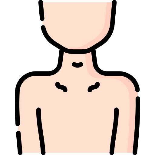 Neck Special Lineal color icon