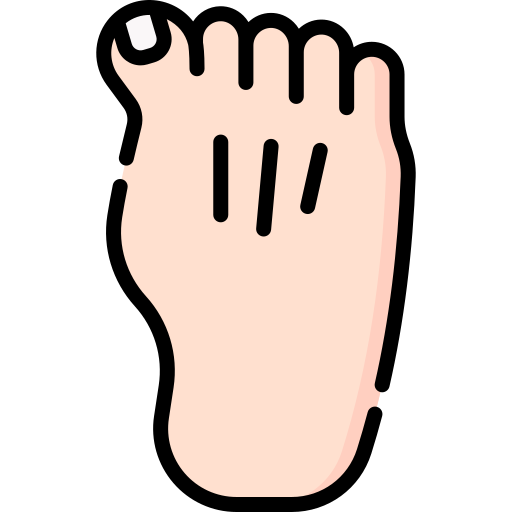 dito del piede Special Lineal color icona