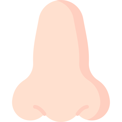 鼻 Special Flat icon
