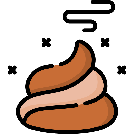 Poop Special Lineal color icon