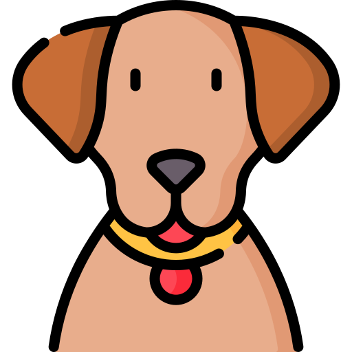 Dog Special Lineal color icon