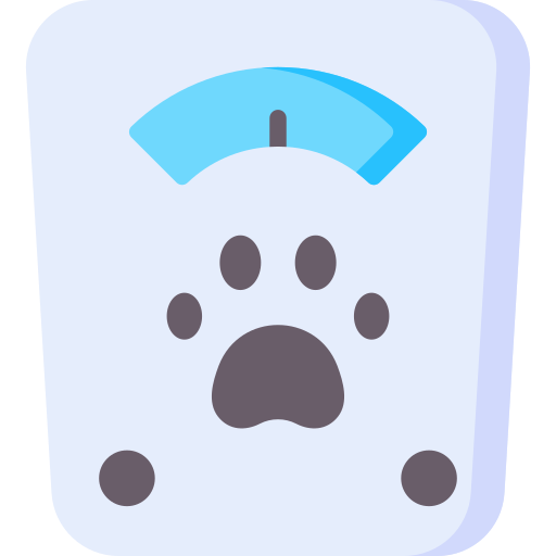 Scale Special Flat icon