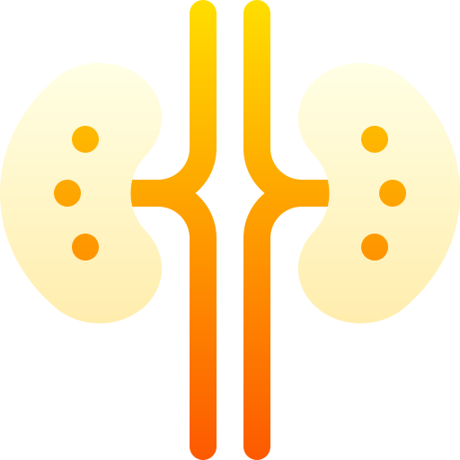腎臓 Basic Gradient Gradient icon