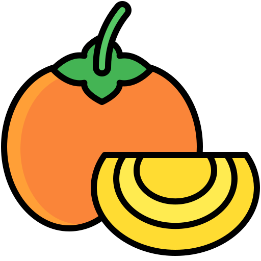 persimmon Generic Outline Color icon