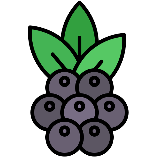 Blackberry Generic Outline Color icon