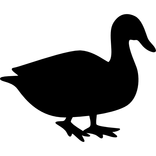 Duck  icon