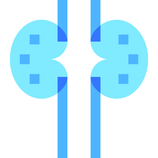 Kidneys Basic Sheer Flat icon