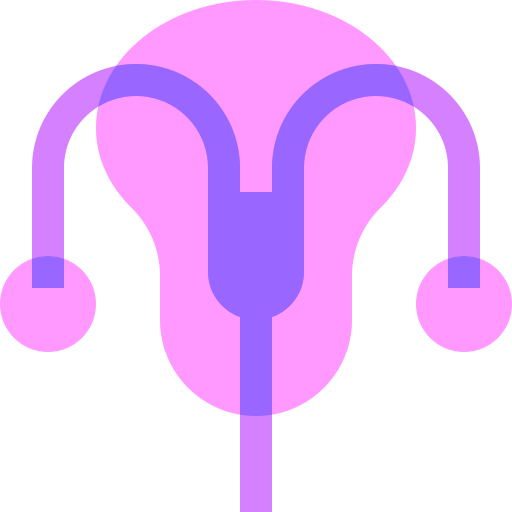 Uterus Basic Sheer Flat icon