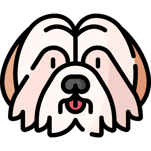 Shih Tzu Special Lineal color icon
