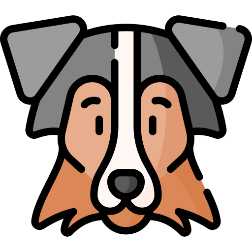 cane pastore delle shetland Special Lineal color icona