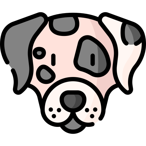 Dalmatian Special Lineal color icon