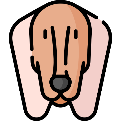 Saluki Special Lineal color icon