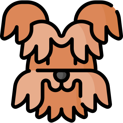 yorkshire-terrier Special Lineal color icon