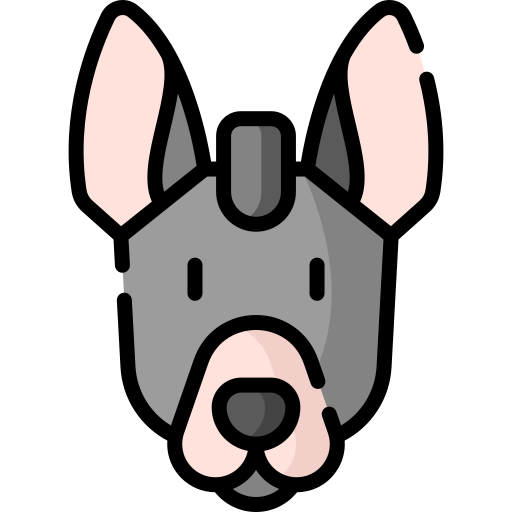 xoloitzcuintle Special Lineal color icono