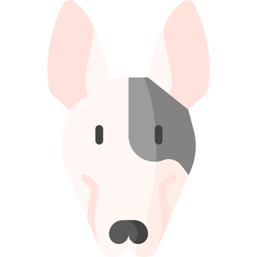 bull terrier Special Flat icona