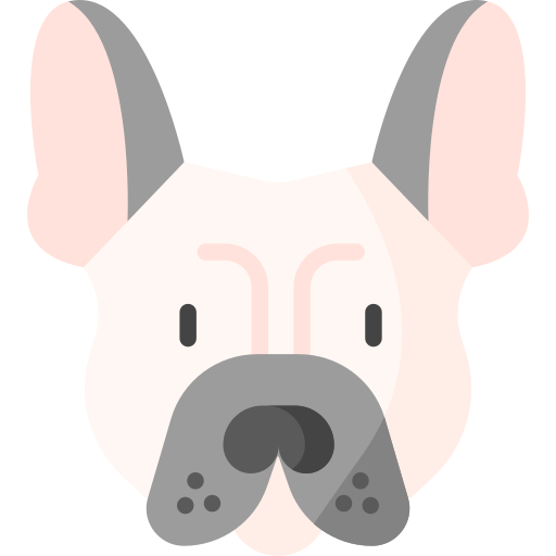 französische bulldogge Special Flat icon