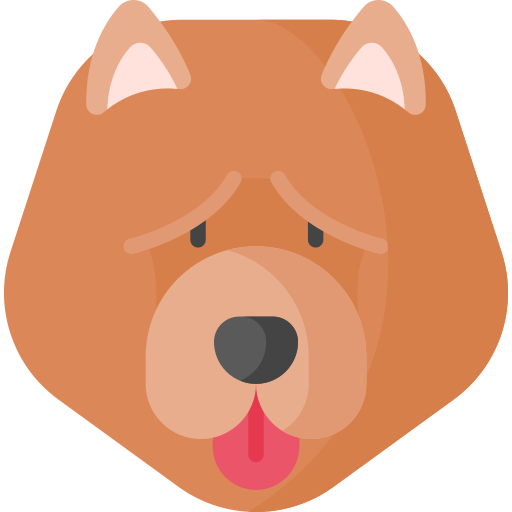 Chow Chow Special Flat icon