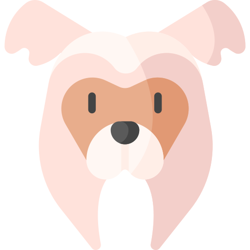 chinese crested Special Flat icon