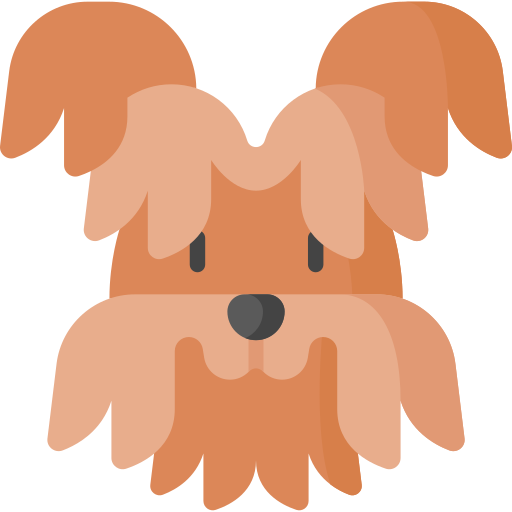 Yorkshire Terrier Special Flat icon