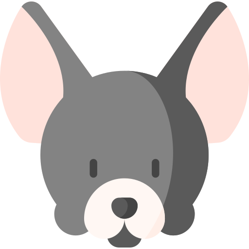 Chihuahua Special Flat icon